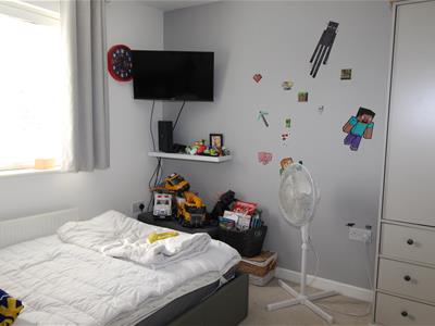 Picture 7